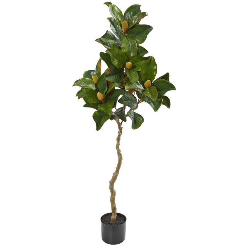 Gracie Oaks Artificial Magnolia Tree in Pot Wayfair
